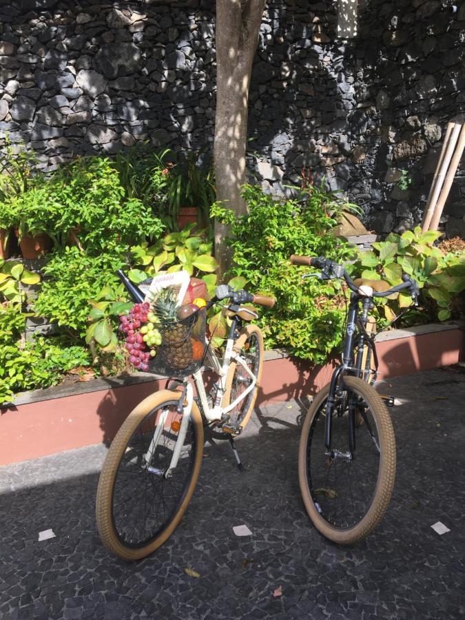 Quinta Pacos Do Lago Campanário Dış mekan fotoğraf